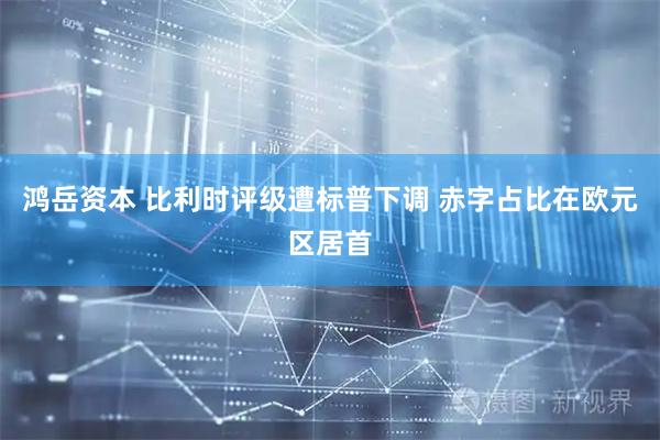 鸿岳资本 比利时评级遭标普下调 赤字占比在欧元区居首